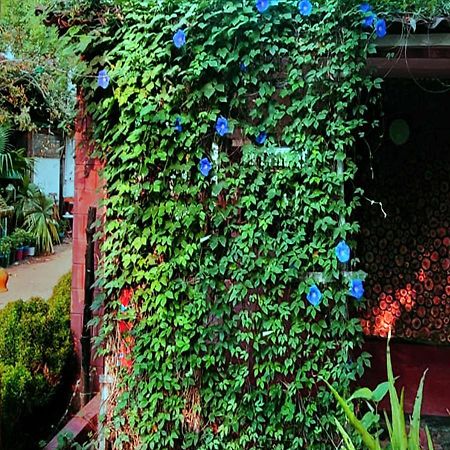 Panchobon Art Resort Shānti Niketan 外观 照片