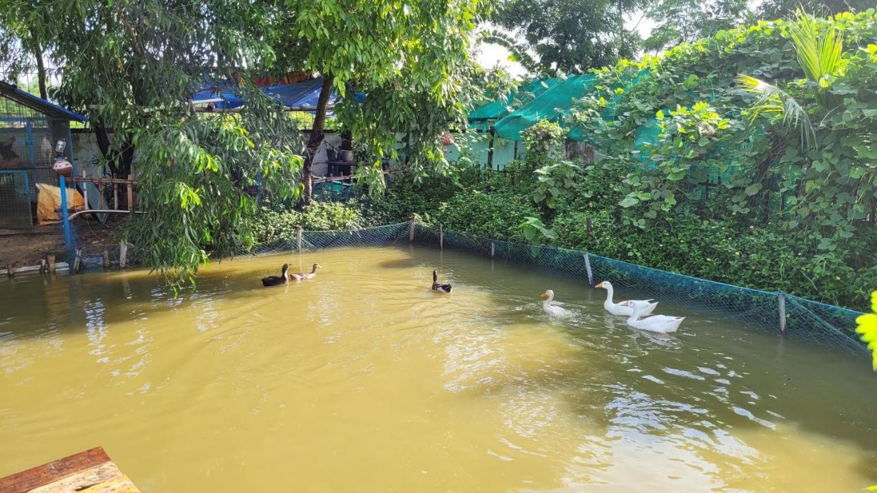 Panchobon Art Resort Shānti Niketan 外观 照片